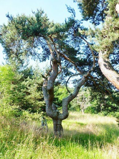 Annexe boulange.jpeg