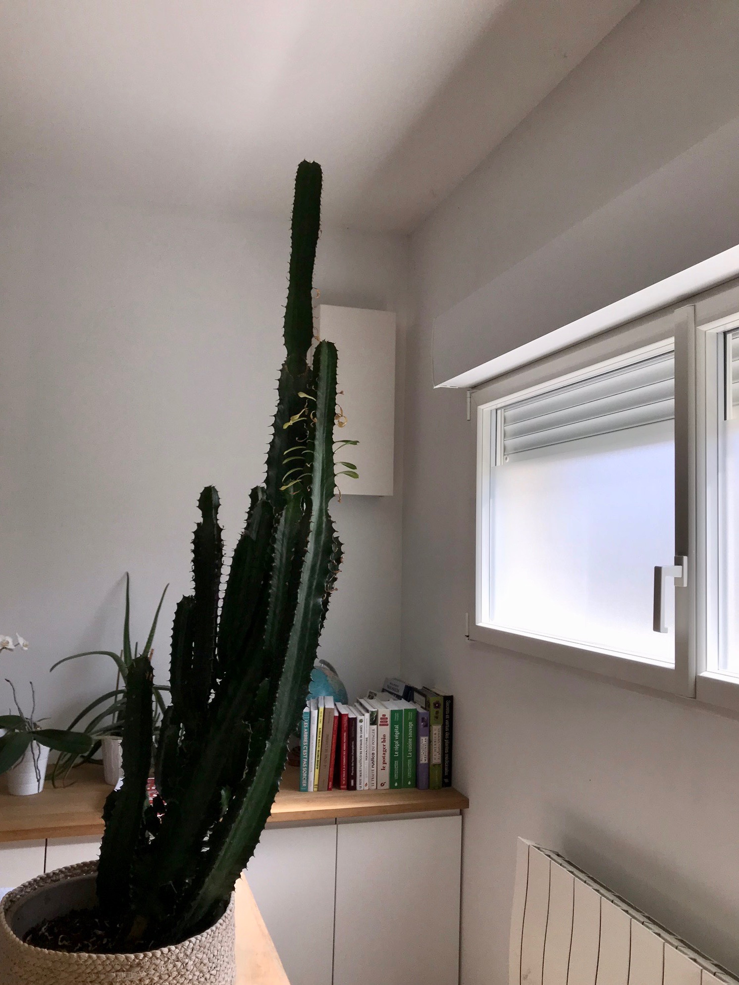 Annexe IMG_0795.jpeg