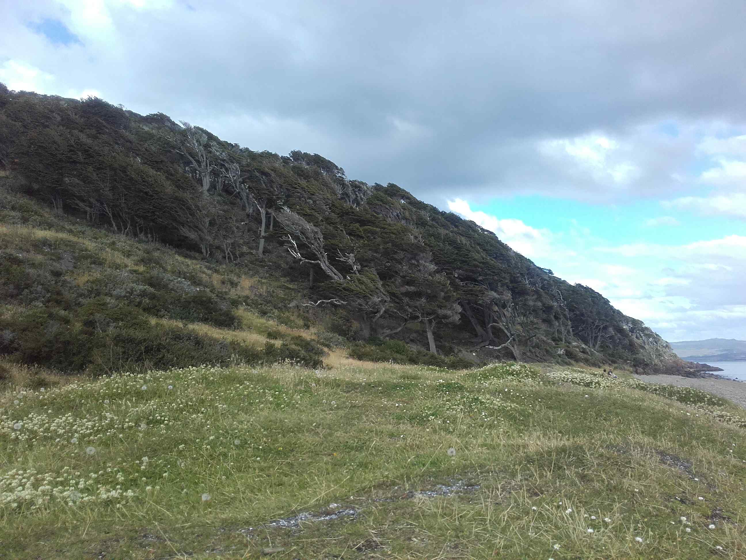 Annexe IMG-20200302_170015_tel_gus (1).jpg