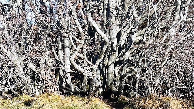 Annexe En première ligne au sommet des Goules 2017-11-22 15.13.43 (Comp et redim) (2).jpg