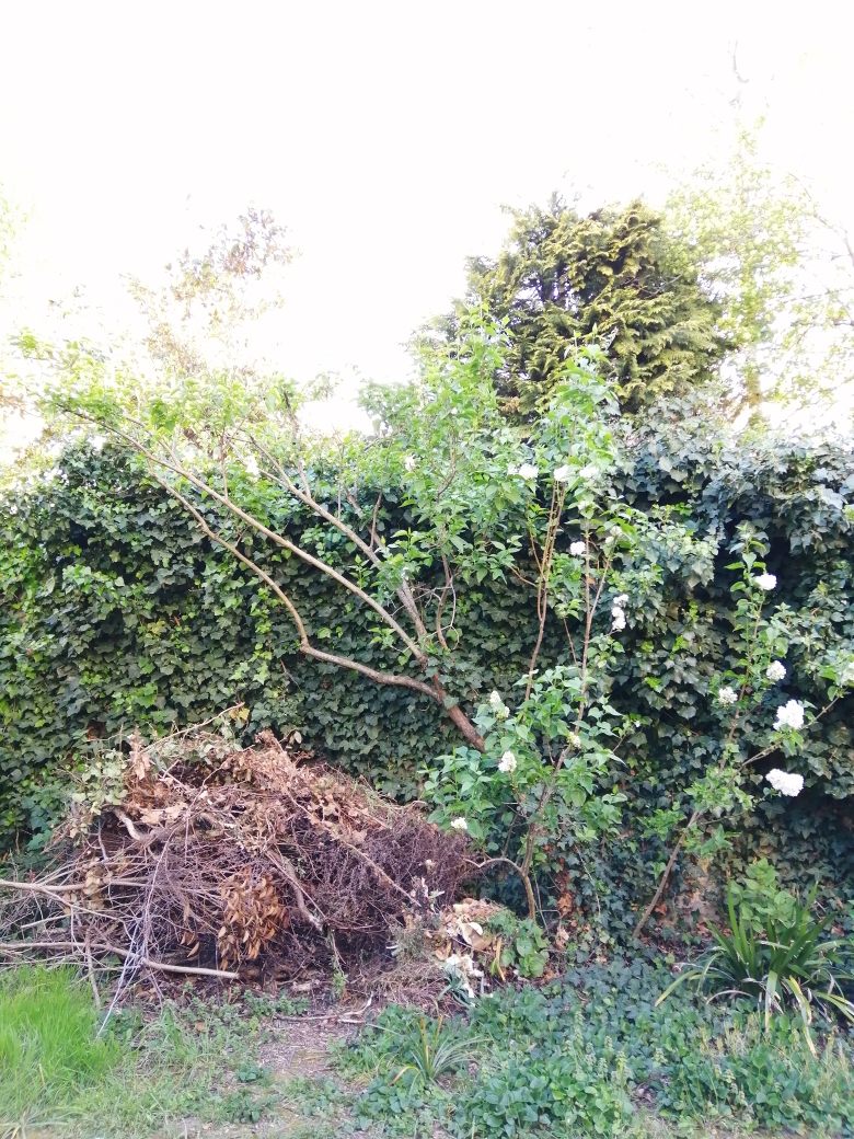 Annexe Lilas Bizarre.jpg