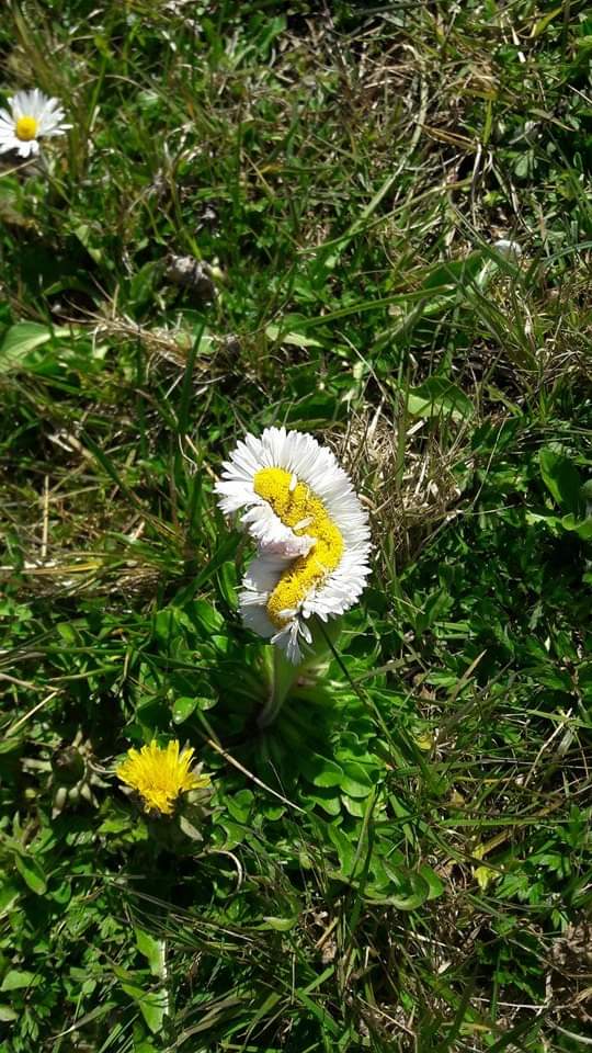 Annexe received_695996897807659.jpeg