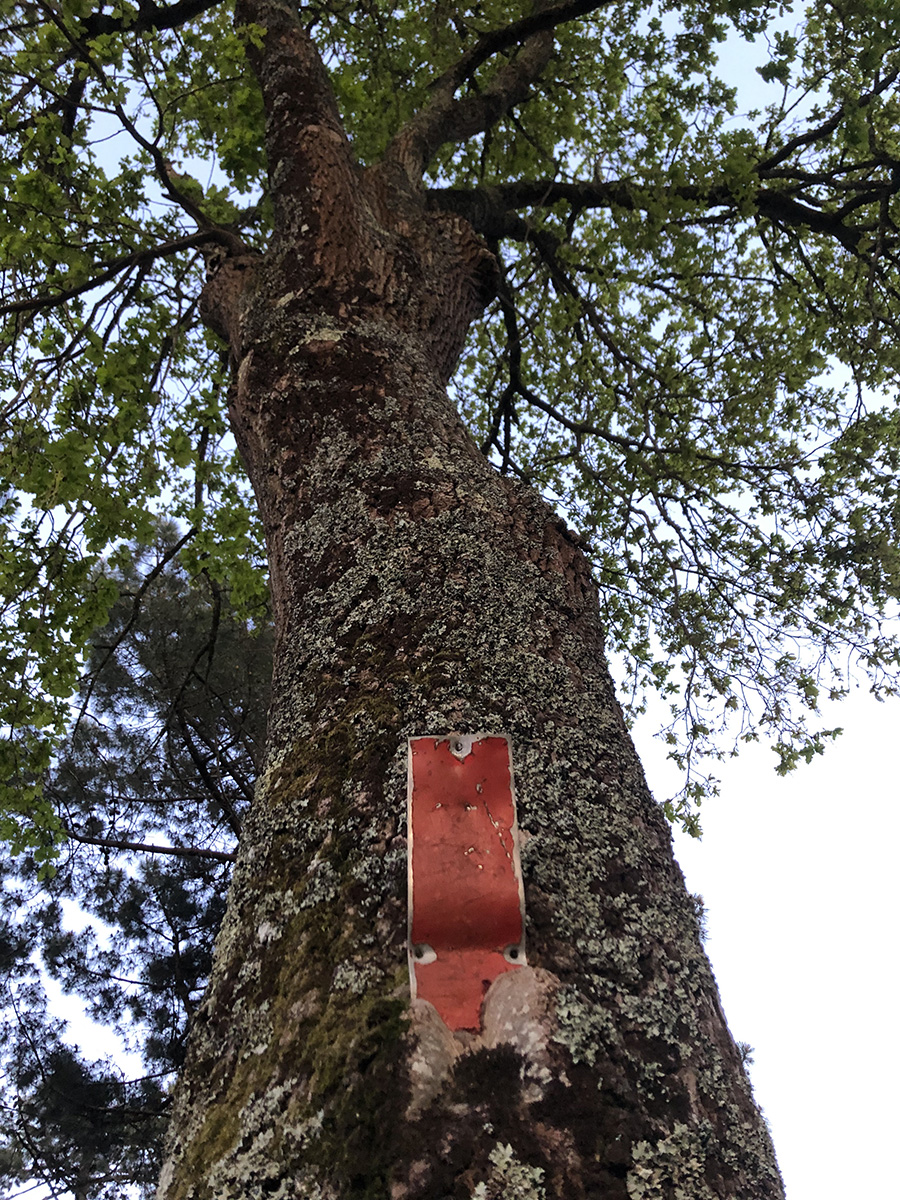 Annexe cheneravi.jpg