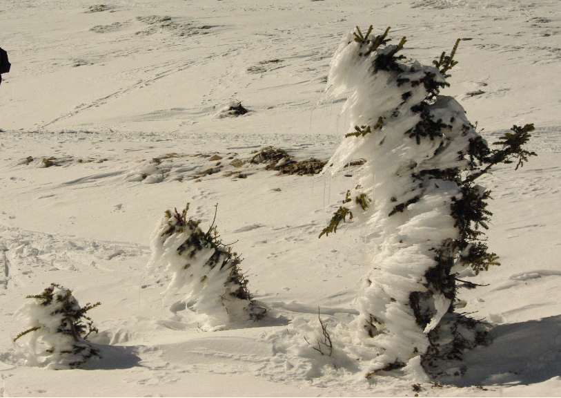 Annexe Montagnards de LURE .png