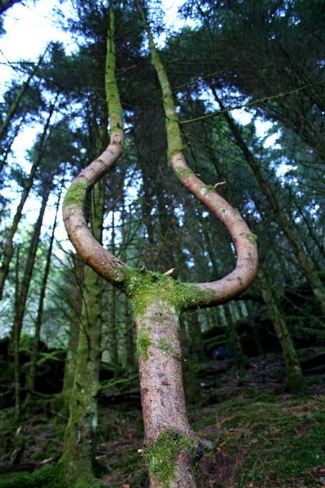 Annexe ec90095ea978e96e9a3ed4124392357e.jpg