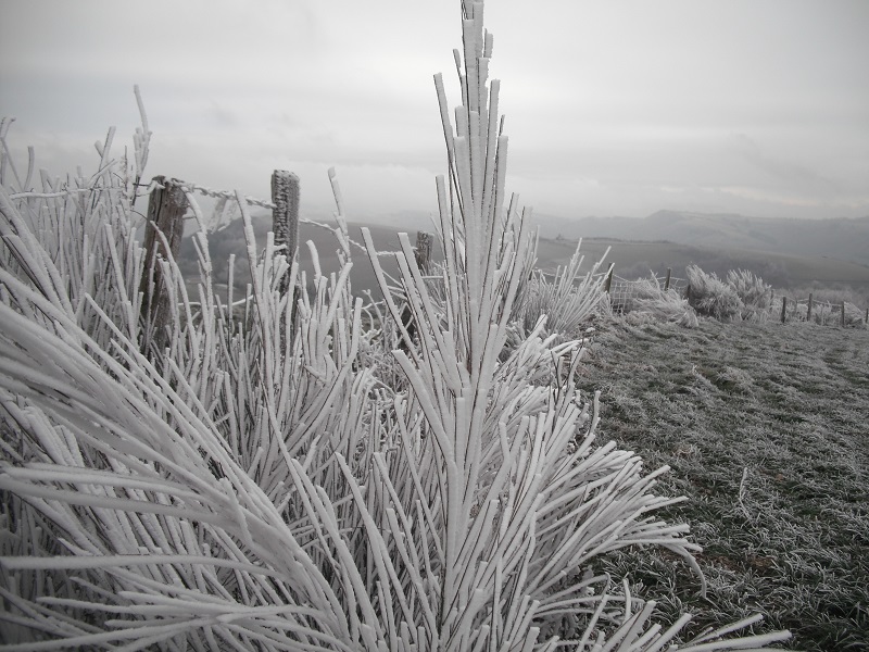 Annexe givre_bis.jpg