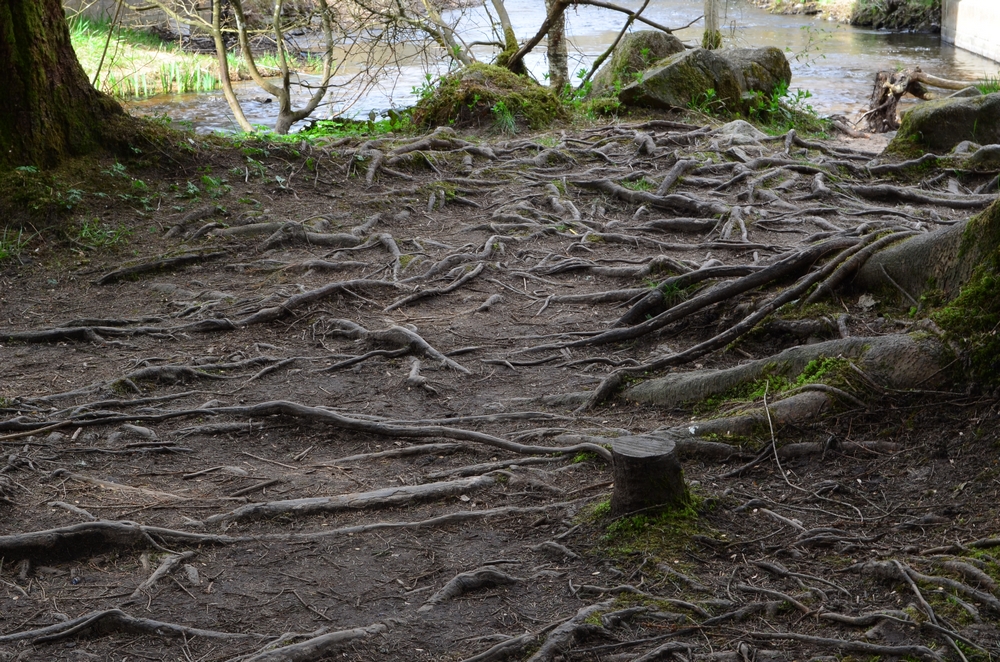 Annexe DSC_0547 Saut du Gouloux dans le Morvan - Copie.JPG