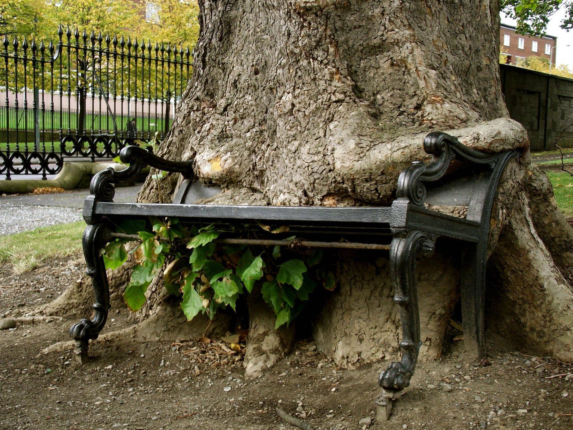 Annexe original-min.jpg