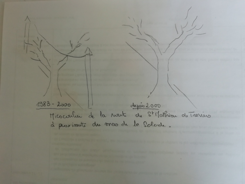 Annexe IMG_20200411_124137.jpg