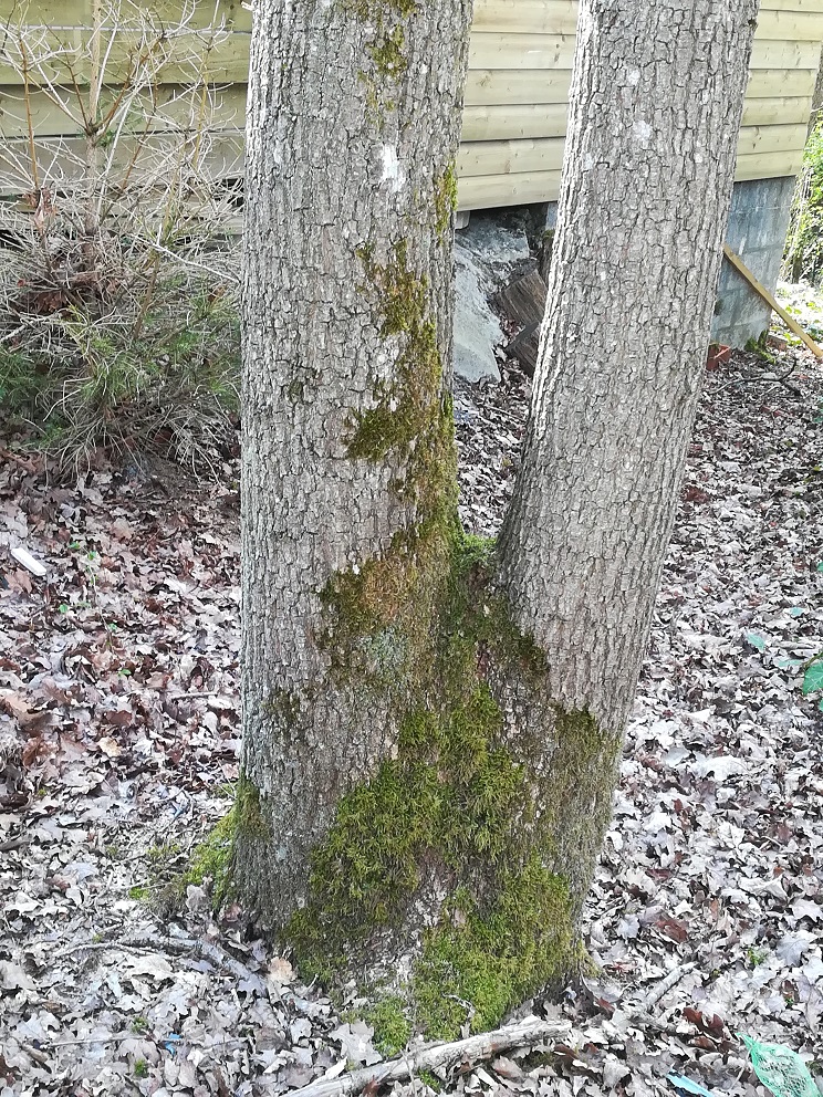 Annexe 3 Décrire Chêne frères (1).jpg