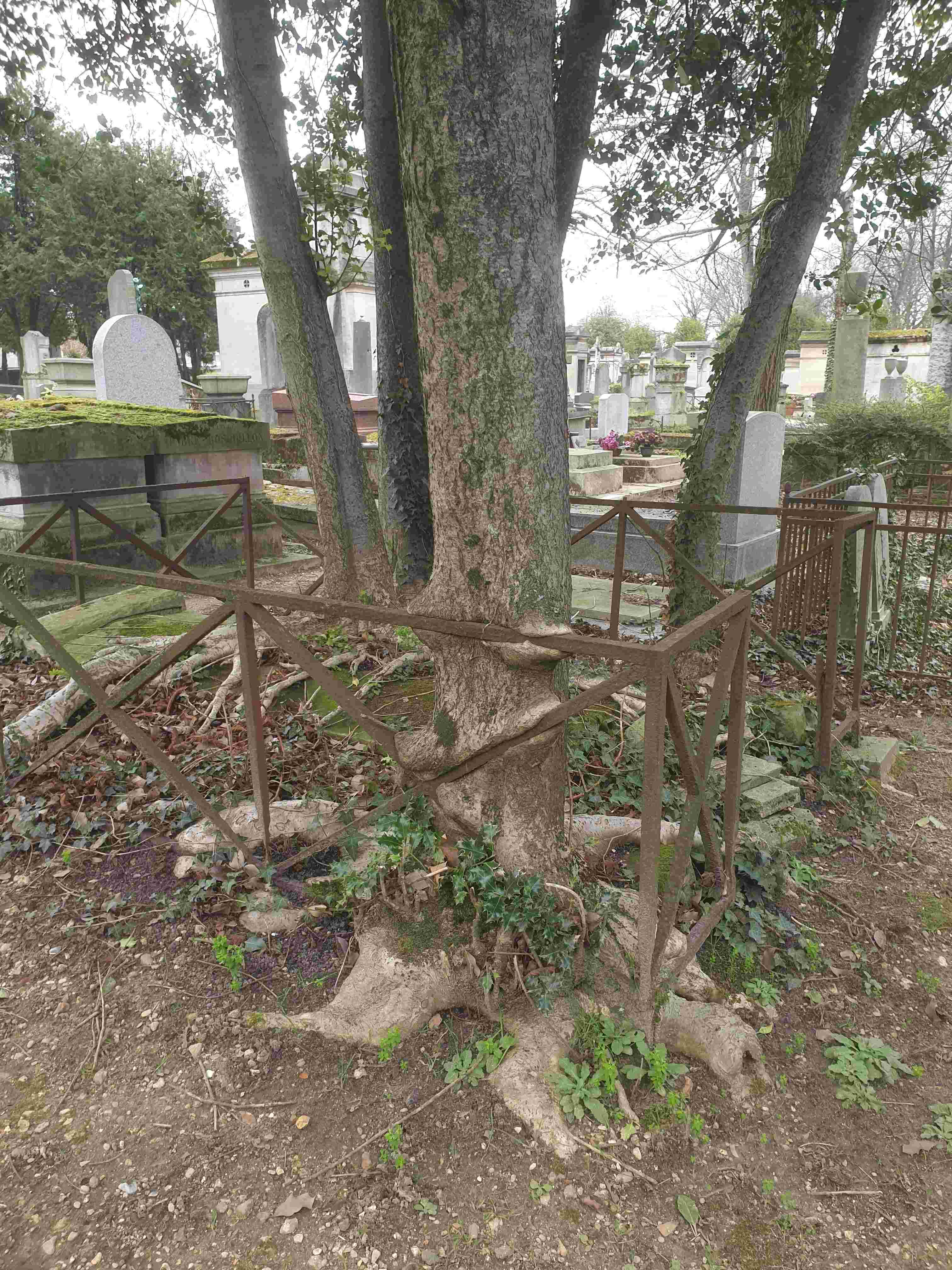 Annexe 20200222_151042-min(3).jpg