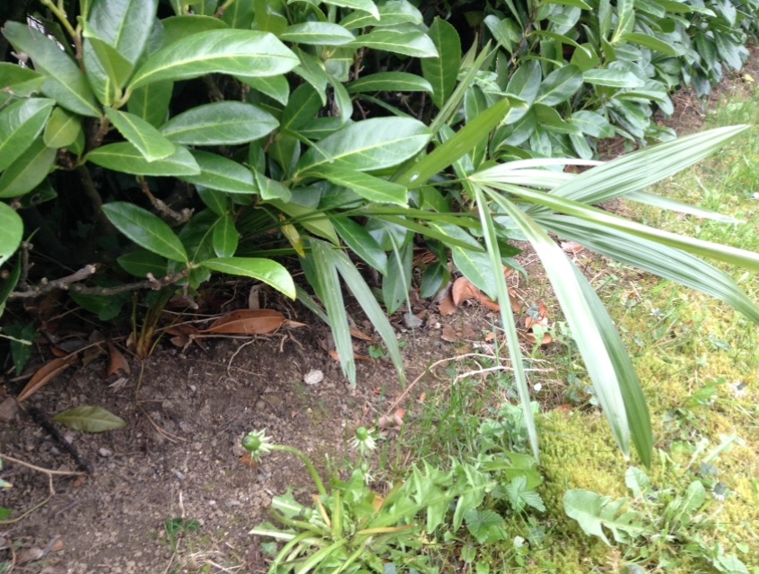 Annexe FullSizeRender(1).jpg