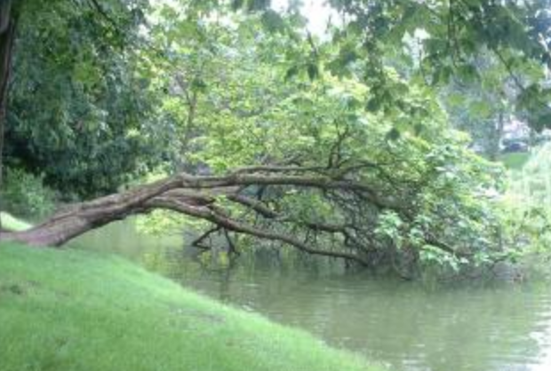 Annexe Capture d’écran 2020-04-12 à 12.33.10.png