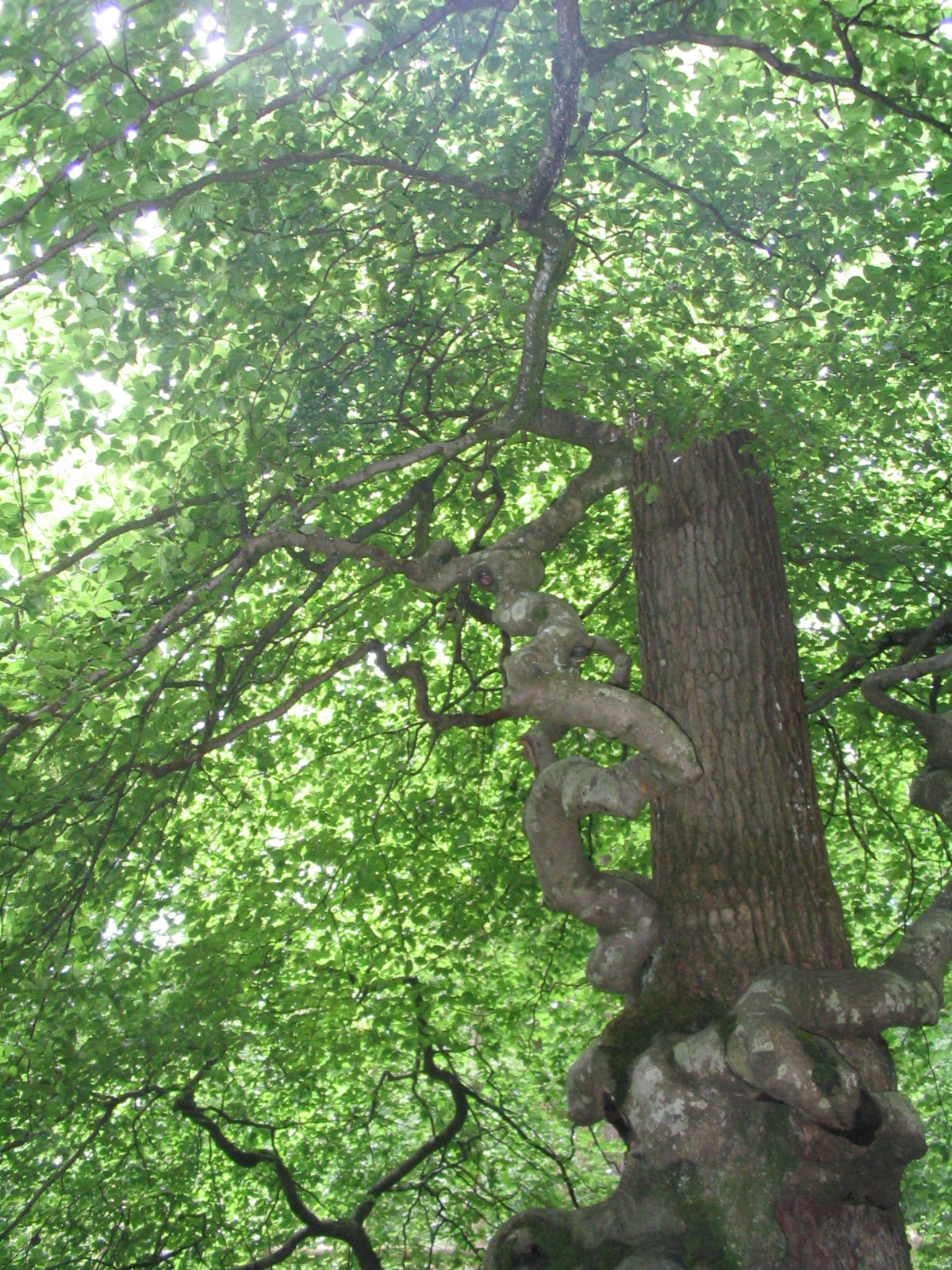 Annexe 0707_Reims 248.jpg