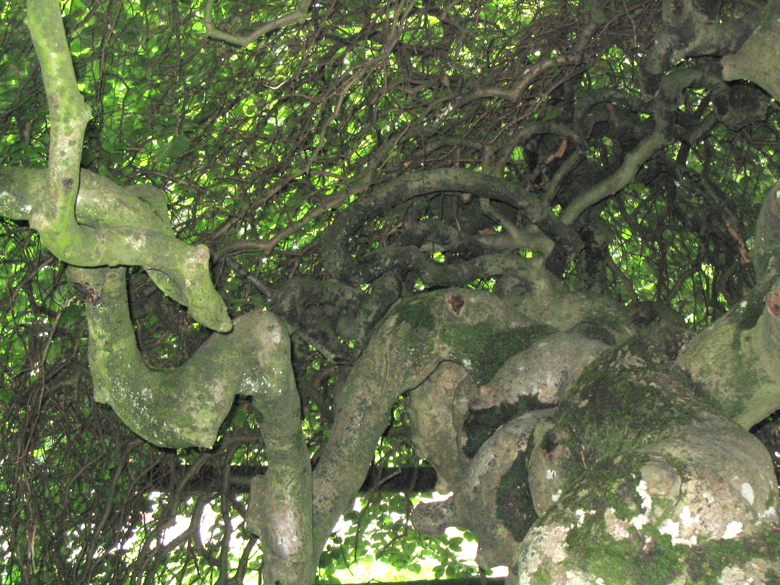 Annexe 0707_Reims 255.jpg