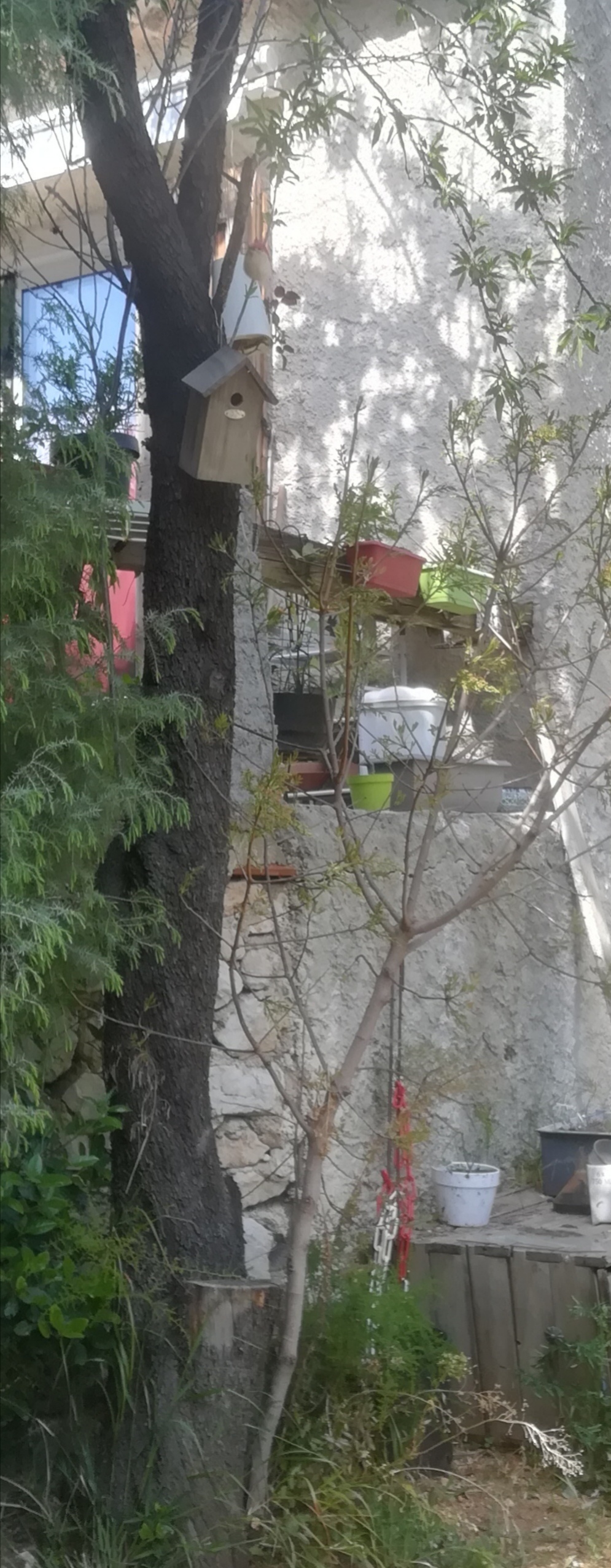 Annexe IMG_20200412_151459.jpg