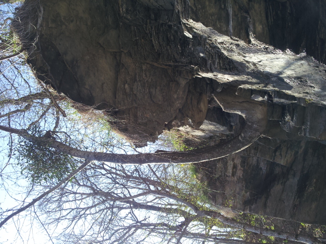 Annexe 20200410_171822[1].jpg