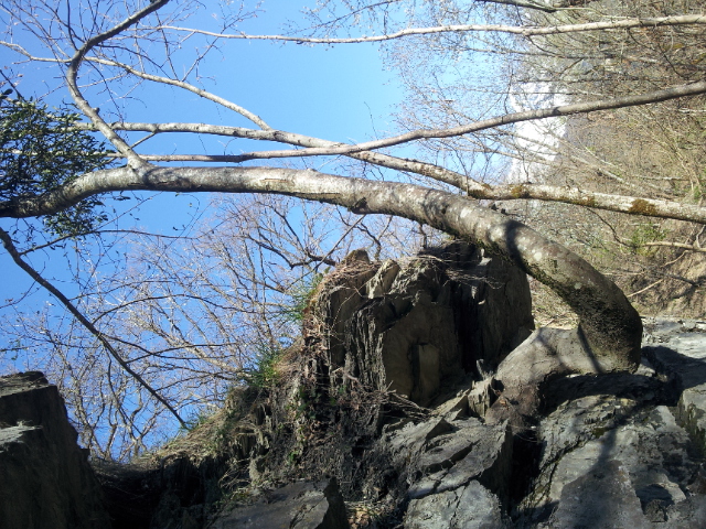 Annexe 20200410_171925[1].jpg