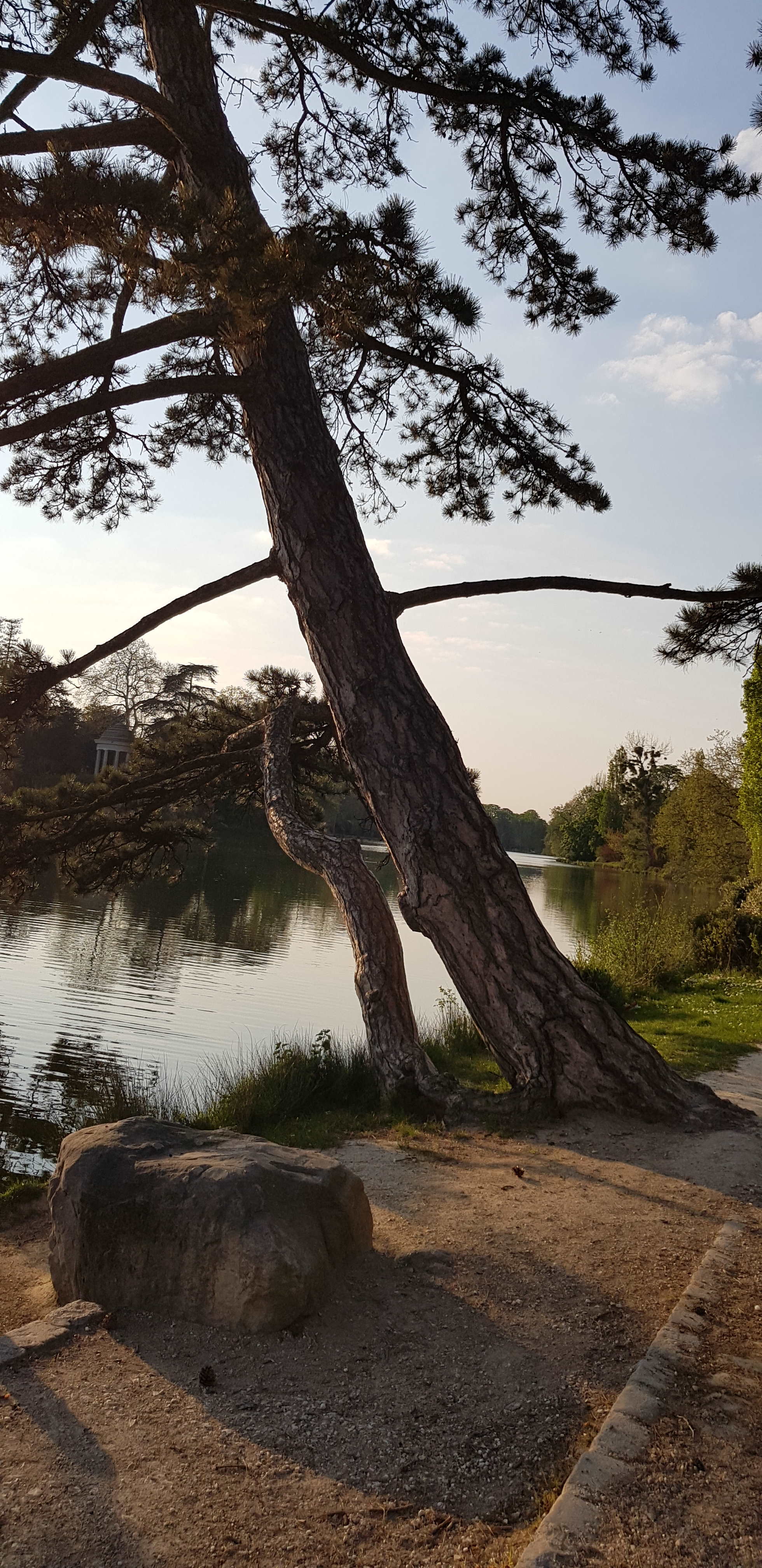 Annexe 20200410_191105_2.jpg