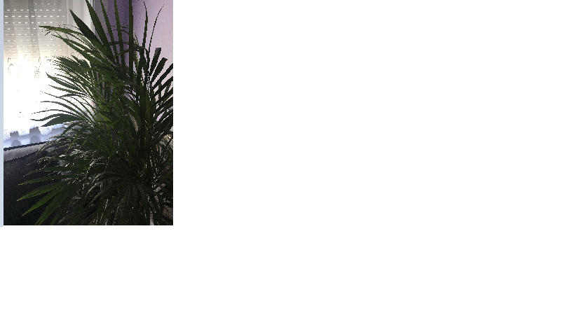 Annexe plante dintérieur.png