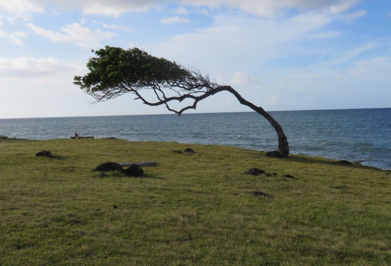 Annexe Capture-1.jpg