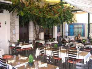 Annexe ficus gravette.jpg