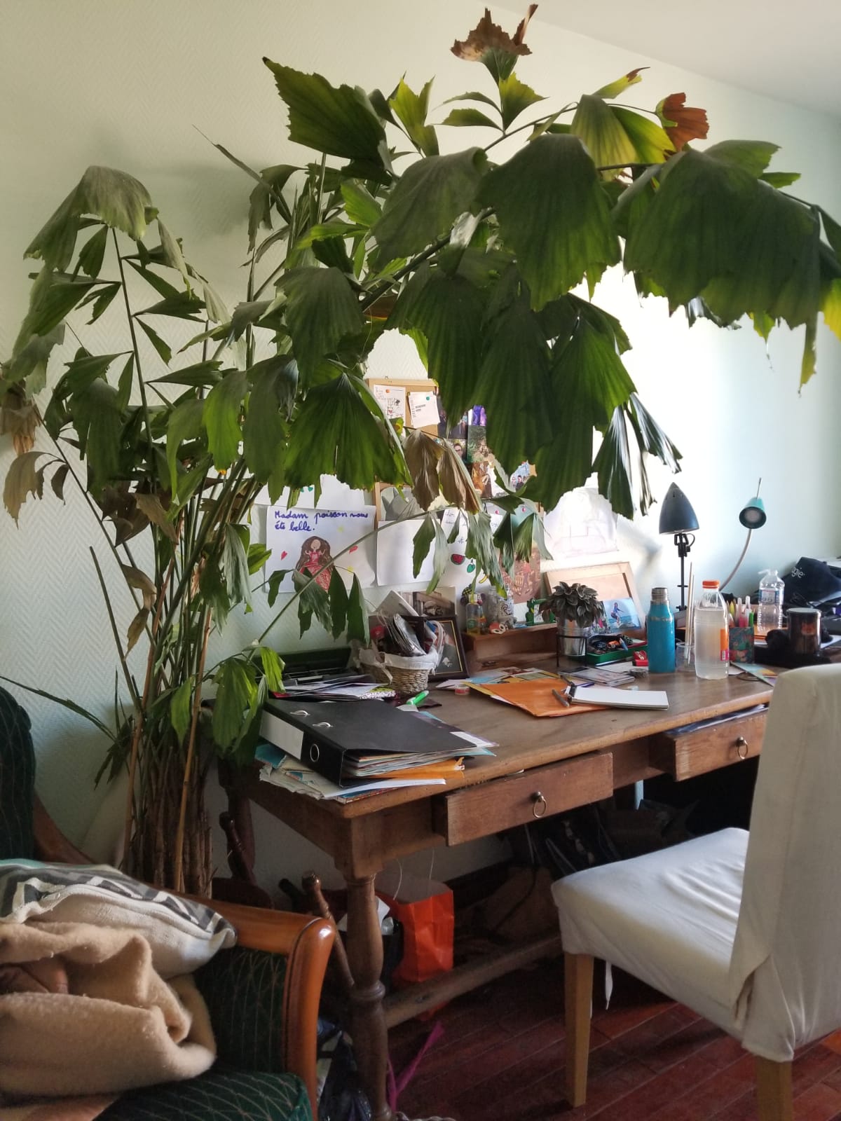 Annexe WhatsApp Image 2020-04-13 at 17.45.36.jpeg