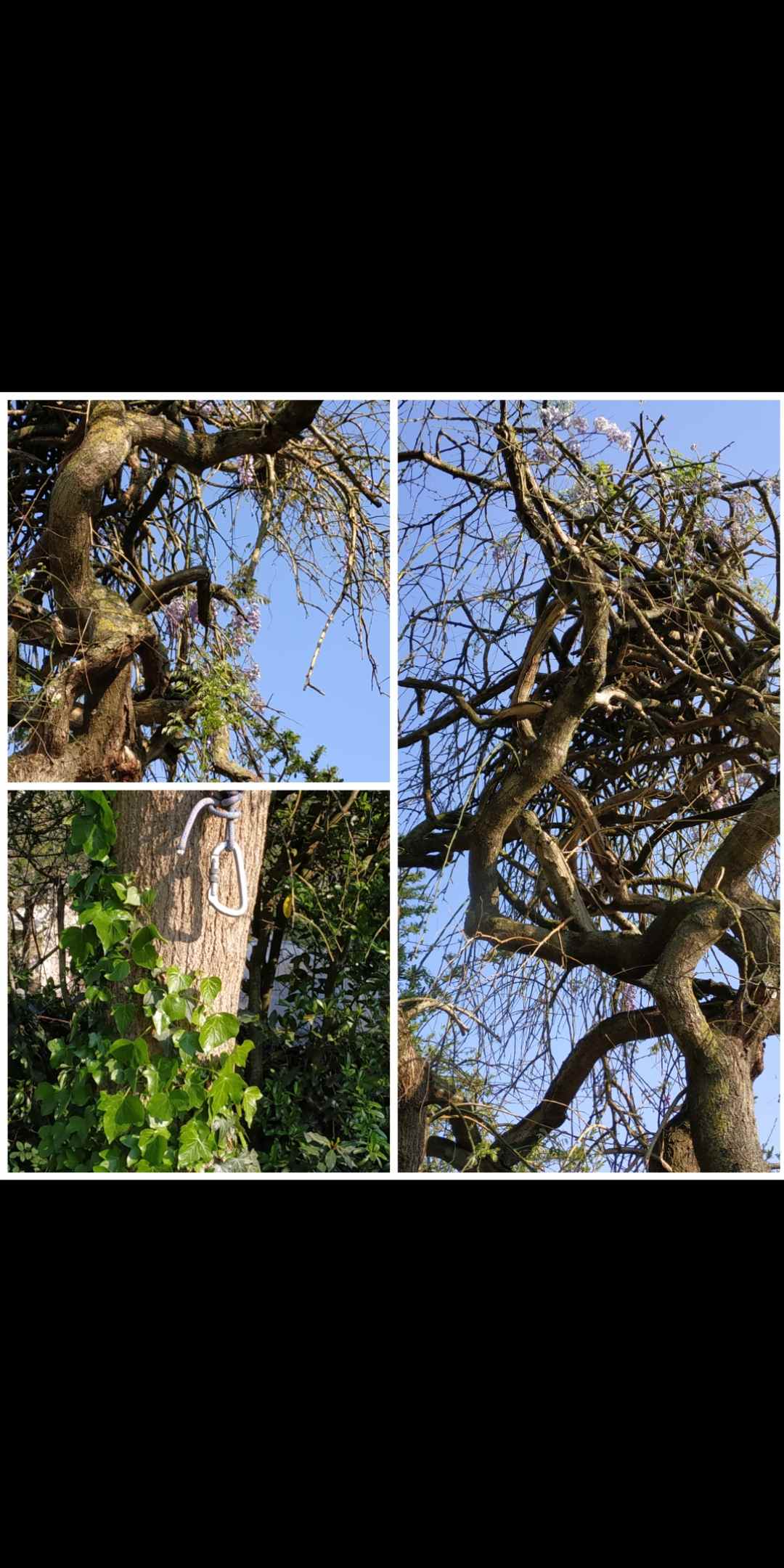 Annexe Screenshot_2020-04-13-18-06-16-536_com.miui.gallery-ConvertImage.jpg