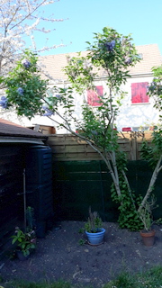 Annexe 20200413_181417.jpg