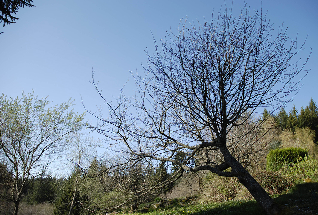 Annexe Bizarbizar.jpg