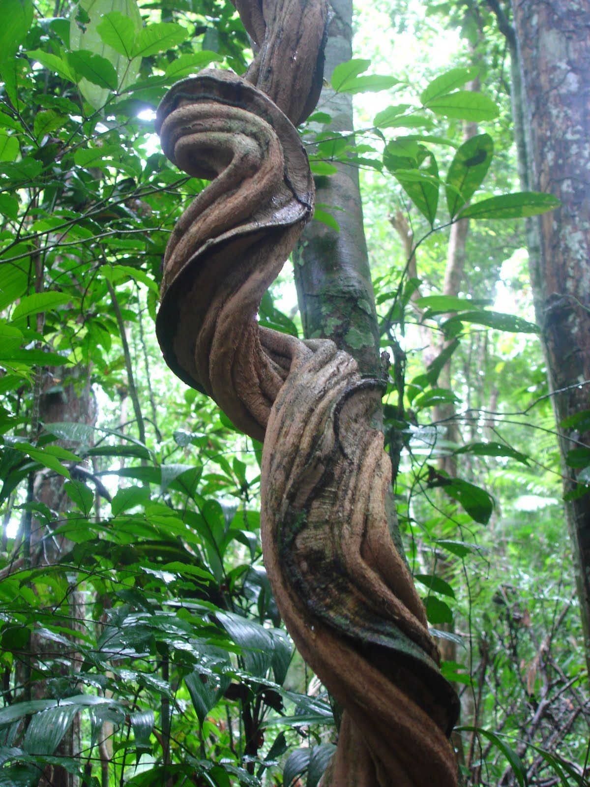 Annexe ccf4f9f2c7334ae3f1a14e0d9c2f61cc.jpg