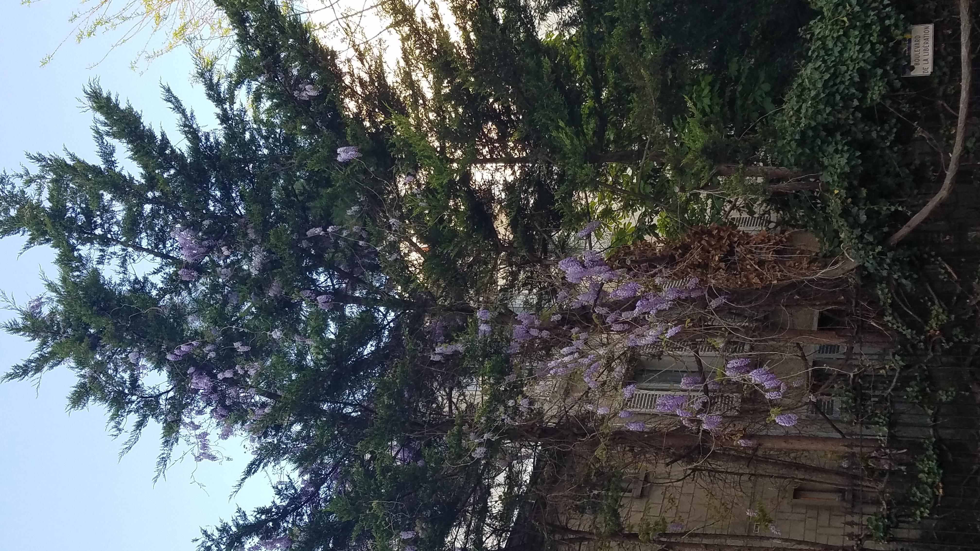 Annexe 20200413_190619-ConvertImage1-ConvertImage-ConvertImage.jpg