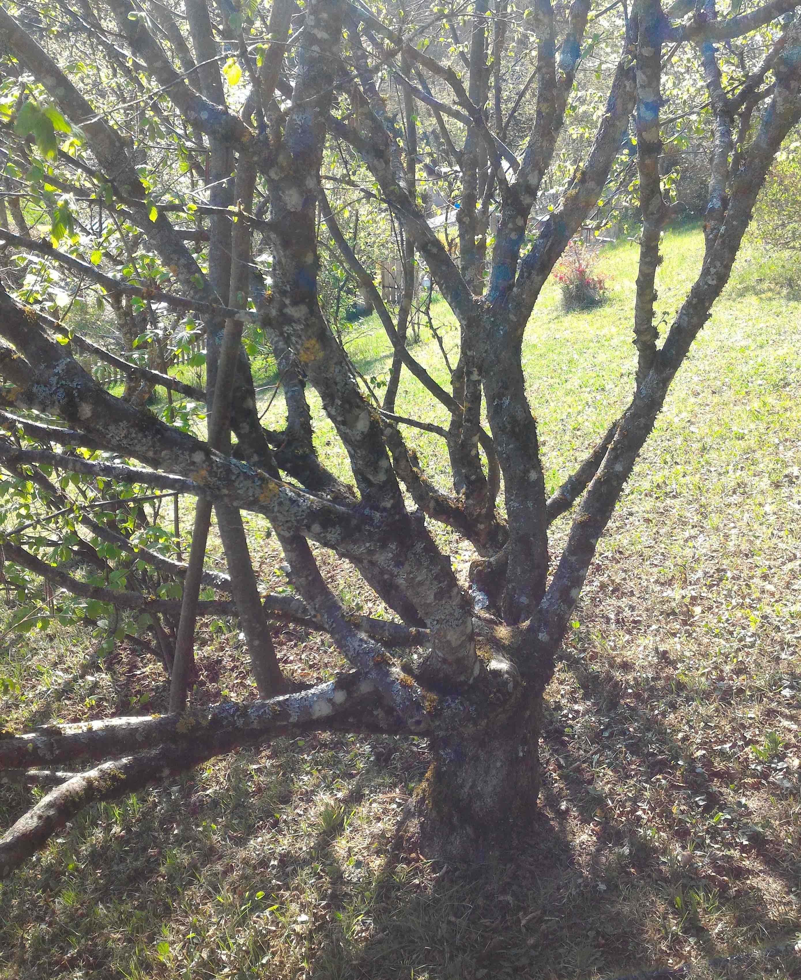 Annexe P_20200414_163920 - copie.jpg