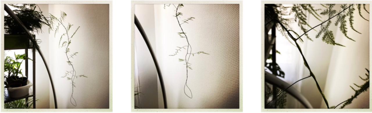 Annexe Capture d’écran 2020-04-15 à 12.34.50 (1).jpg