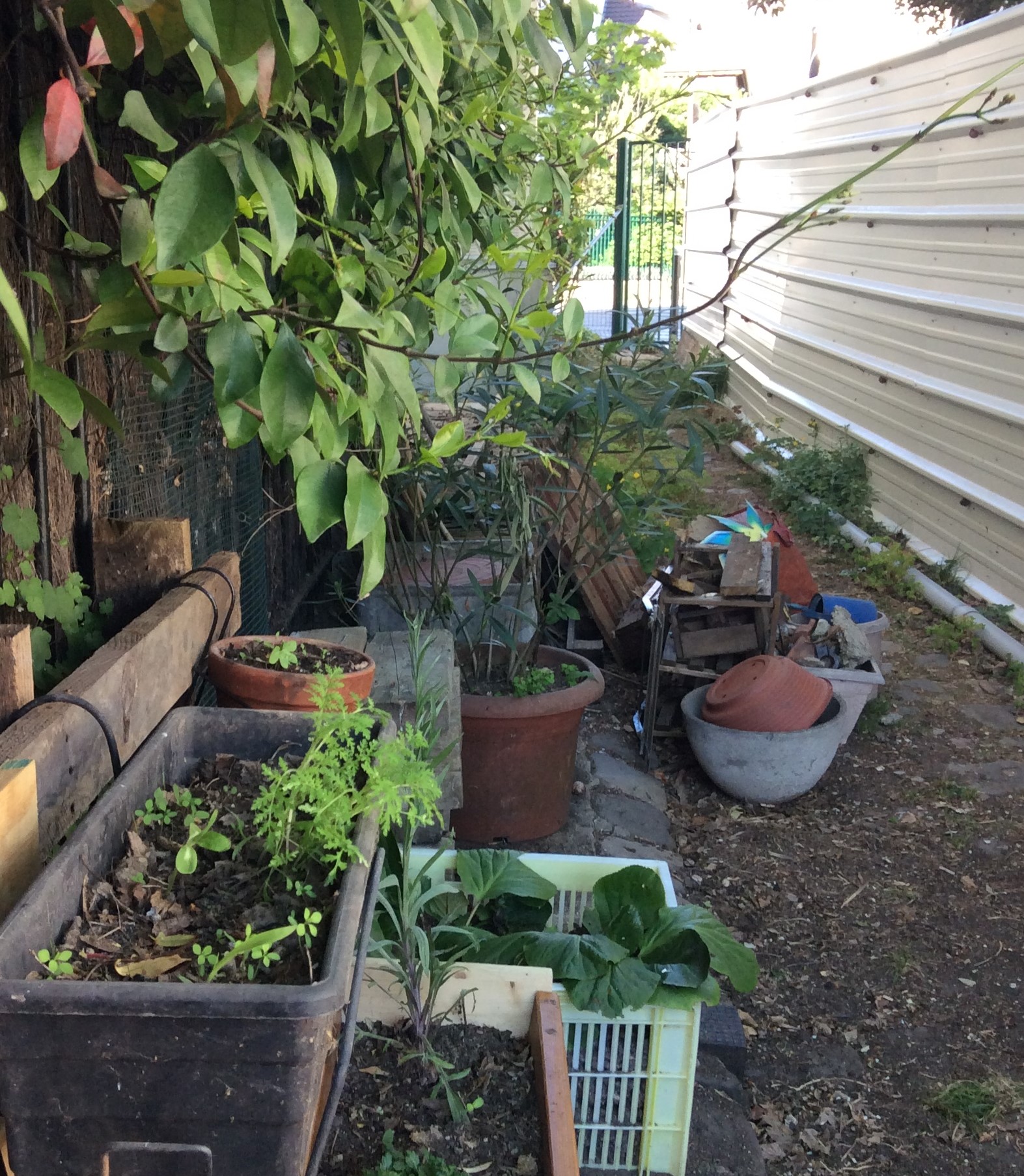 Annexe IMG_0482 (2).JPG