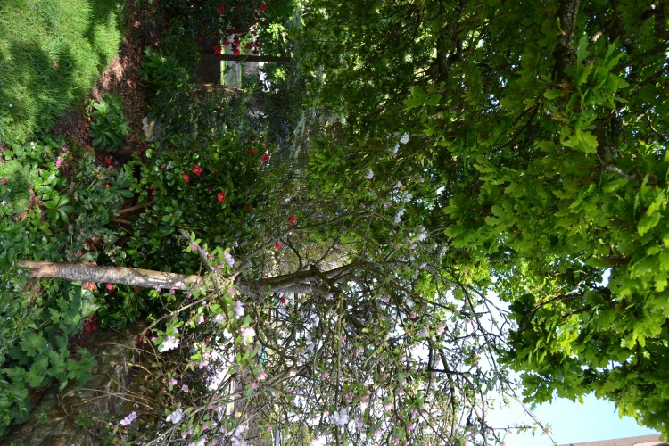 Annexe DSC_0245_2.JPG