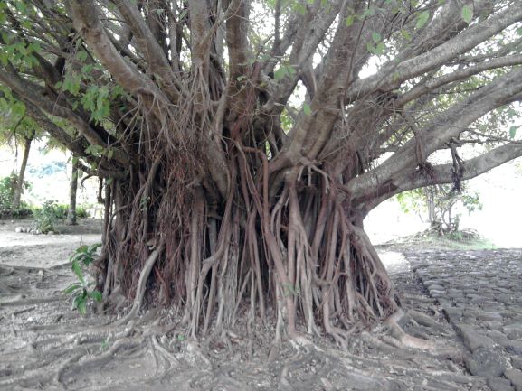 Annexe Banina photo réduite.jpg