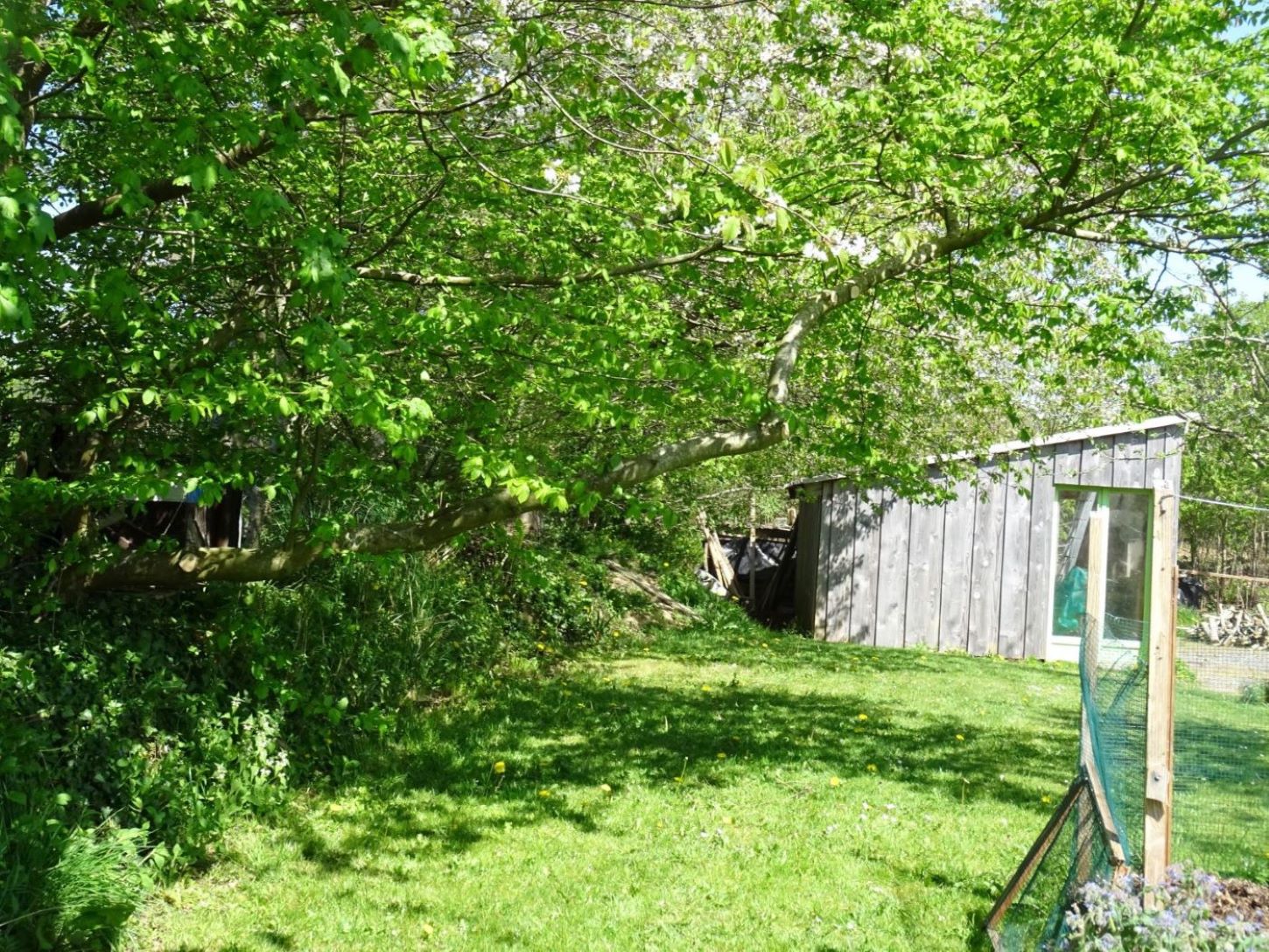 Annexe 1charme et tropisme .JPG