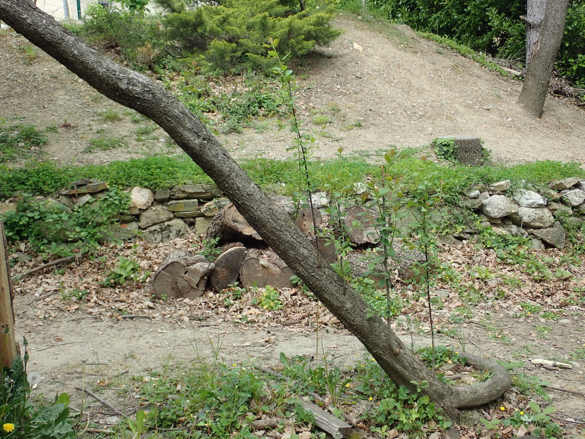 Annexe P4160257 - copie.jpg