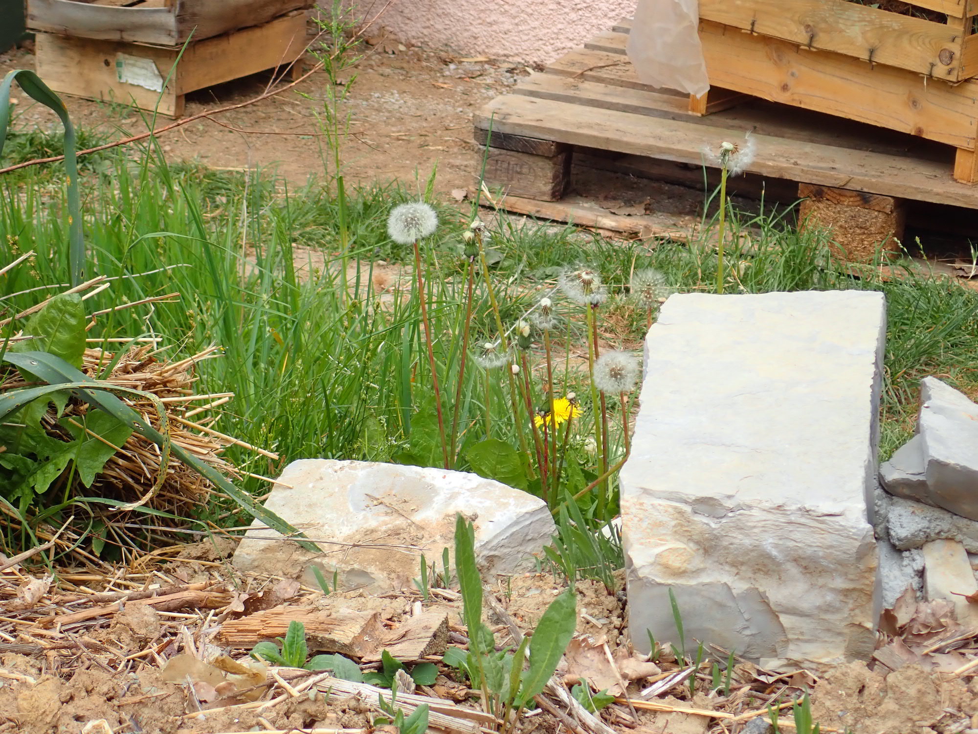 Annexe P4160262 - copie.jpg