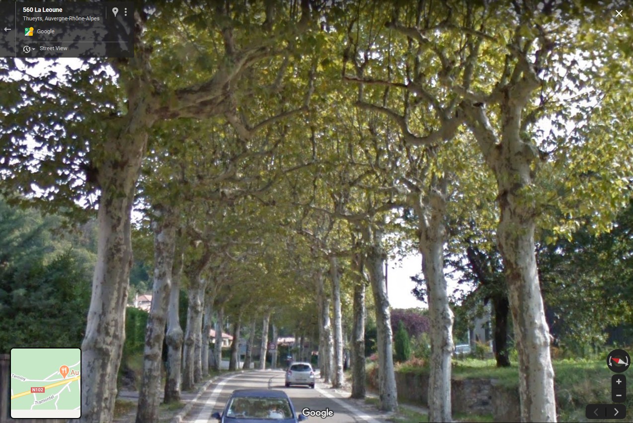 Annexe platanes-Thueyts.jpg