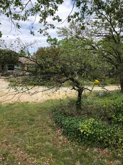 Annexe petit chène.jpeg