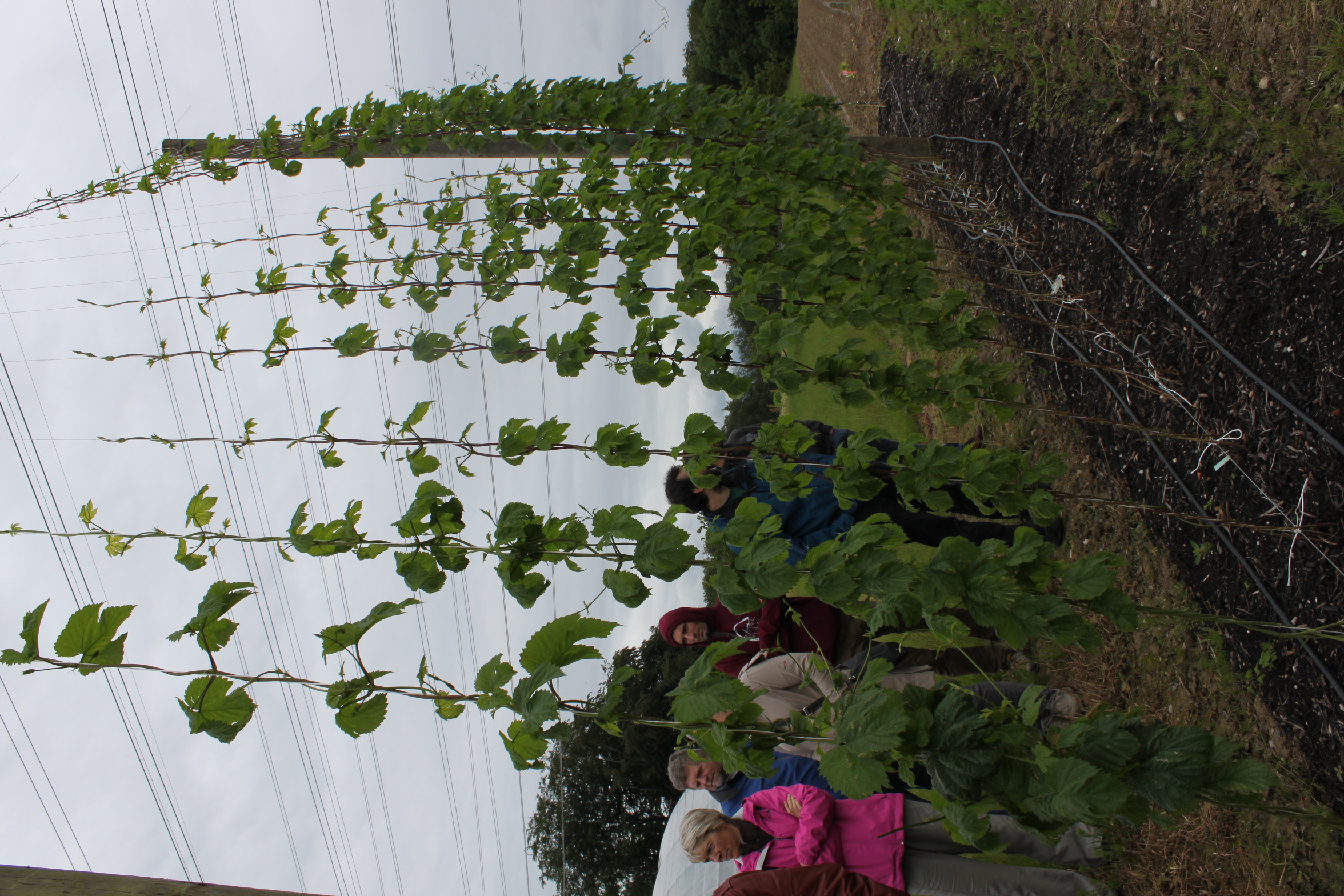 Annexe IMG_8929.jpeg