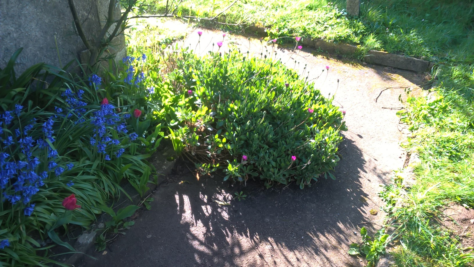 Annexe WP_20200417_10_33_56_Pro.jpg