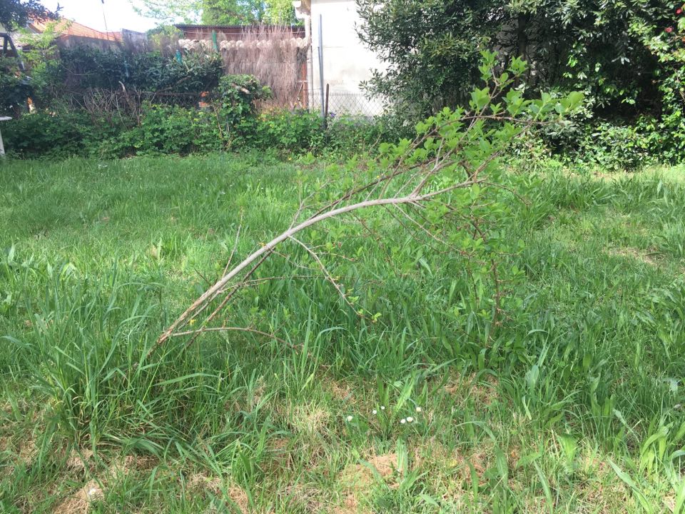 Annexe 93857444_983124328788707_4393108978045812736_n.jpg