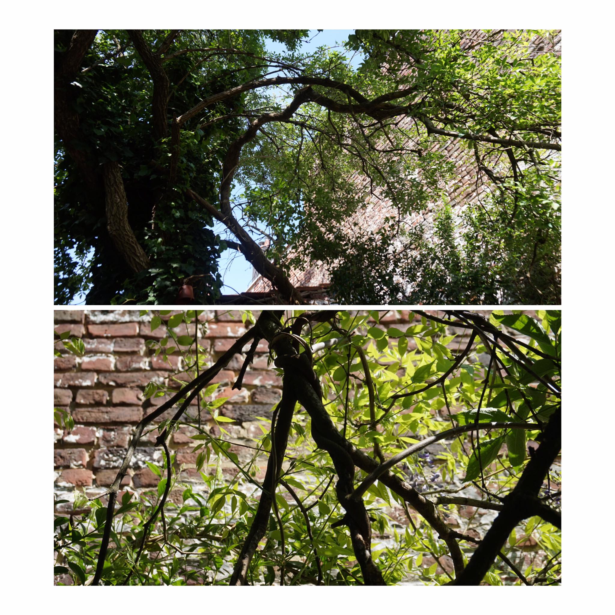 Annexe 93854619_2613634982081816_2099913024021200896_n.jpg