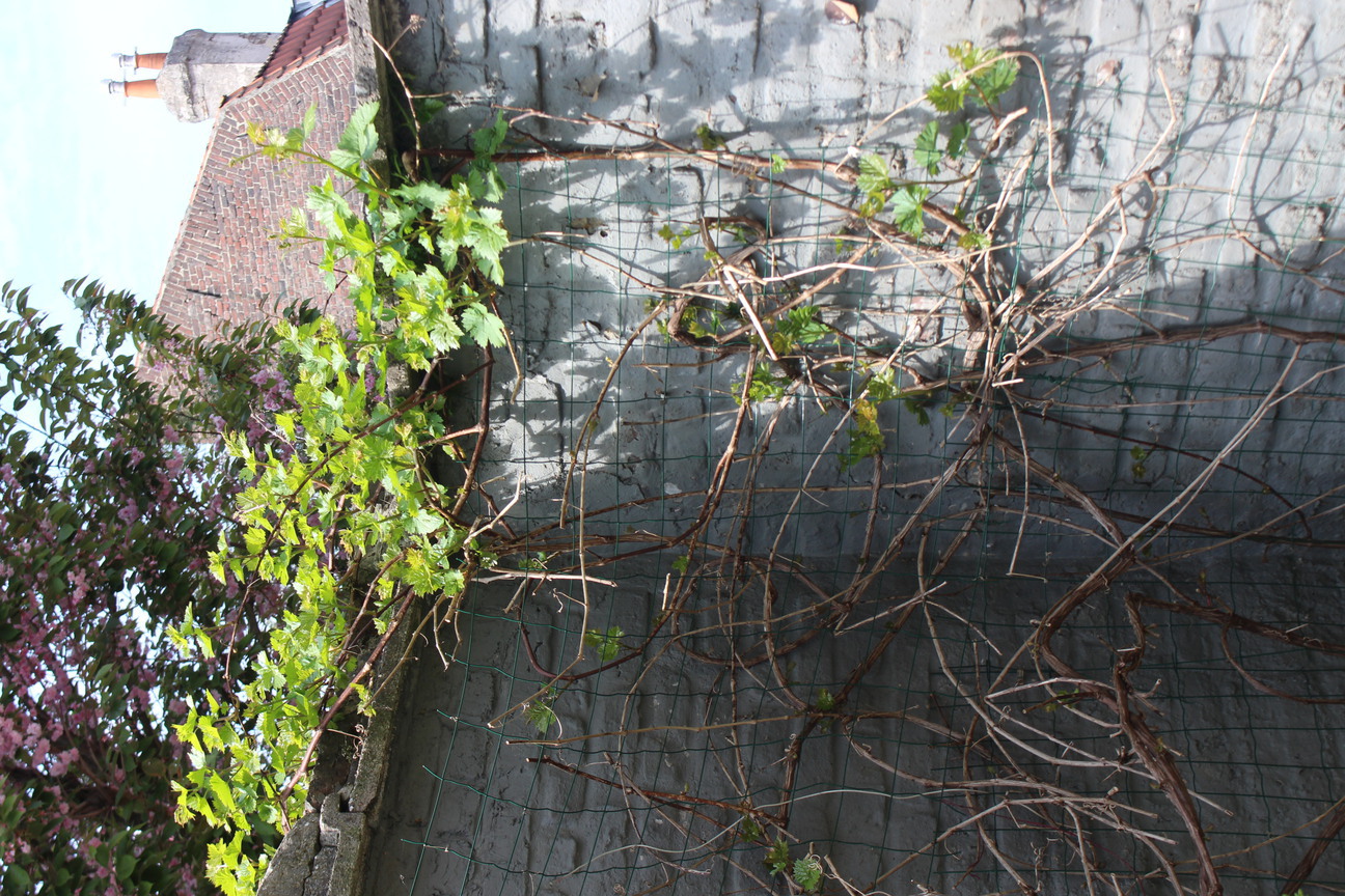 Annexe IMG_0848-ConvertImage.jpg