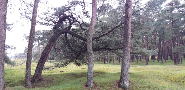 Annexe 20200417_163726.jpg