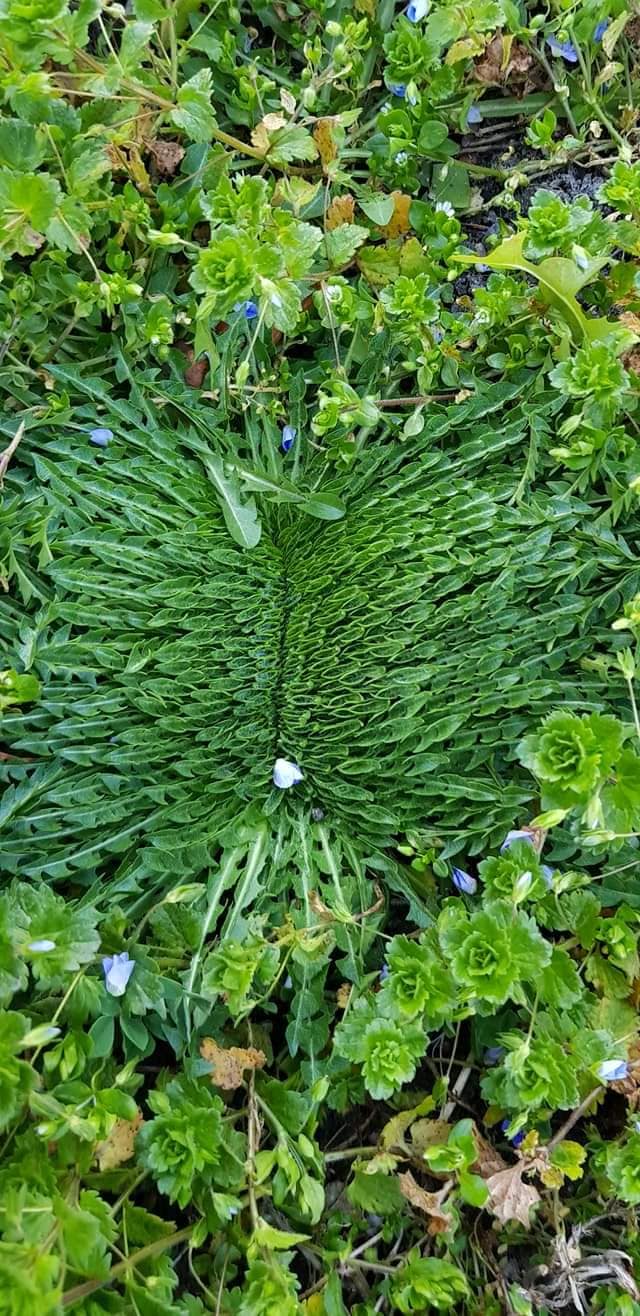 Annexe 92309793_10222026040750442_6429740215920754688_o.jpg