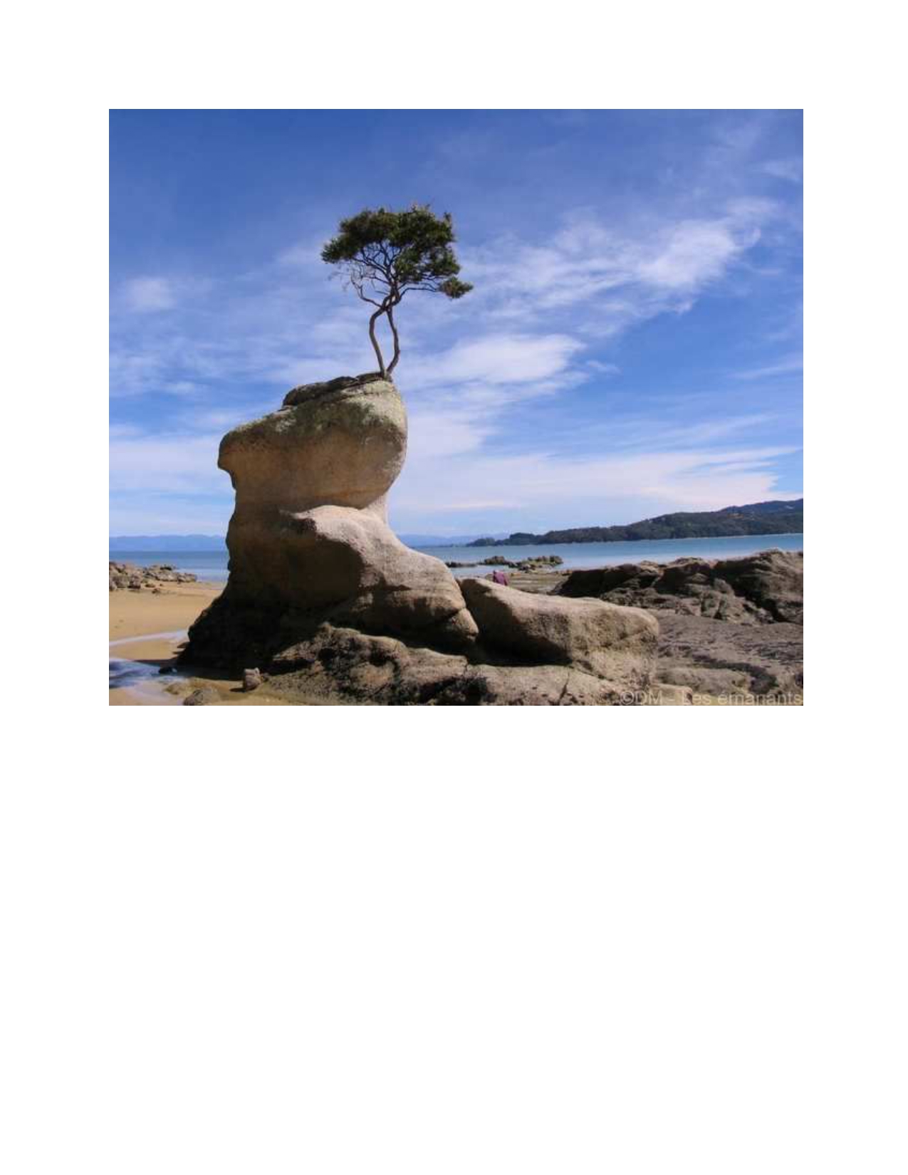 Annexe Bonsai naturel_page-0001.jpg